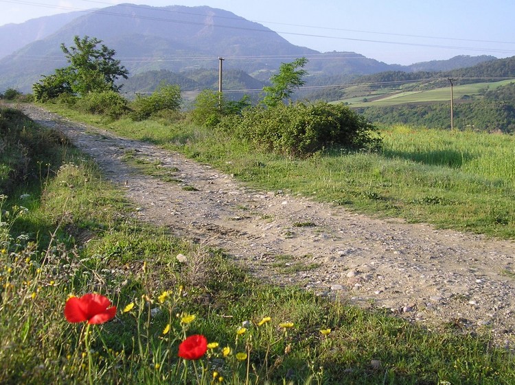 Kodovjat, de weg naar Korçë