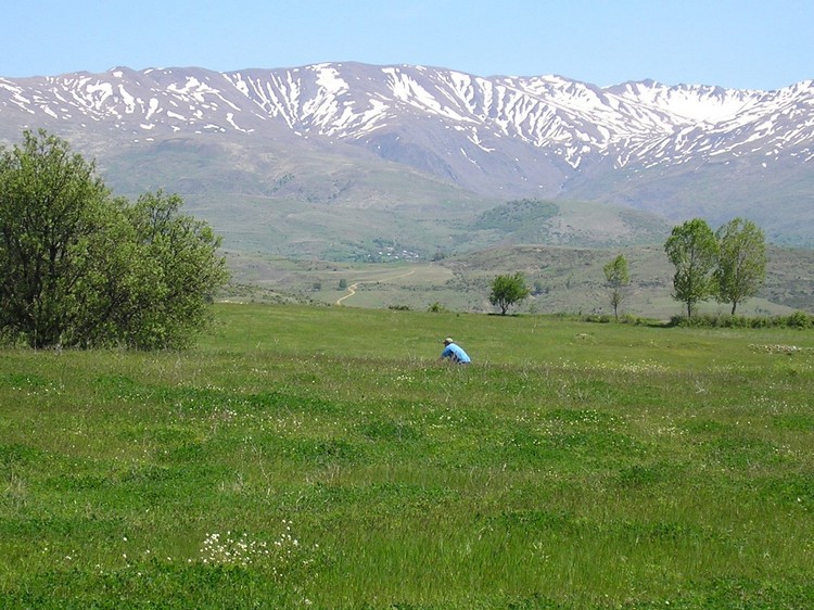 Landschap bij Ersekë