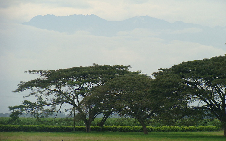Landscape of the Cauca valley near Calí
