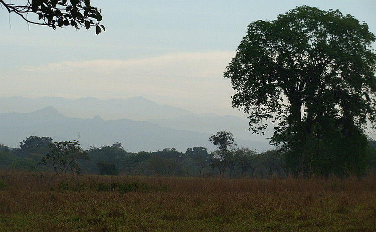 Landschap van West Panama