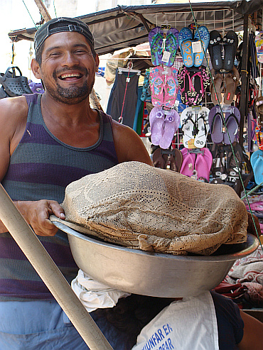 Market salesman in León