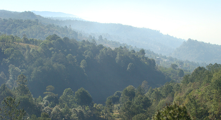 The green hillside landscape of San Cristóbal de las Casas