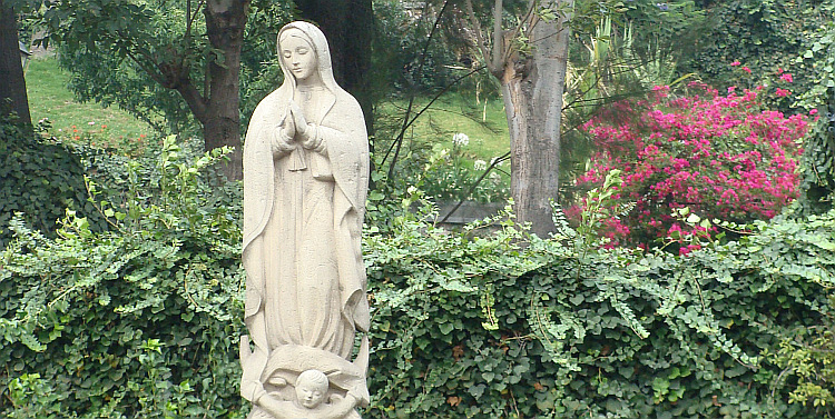 Tuin van de Basiliek van de Virgen de Guadelupe in Mexico Stad