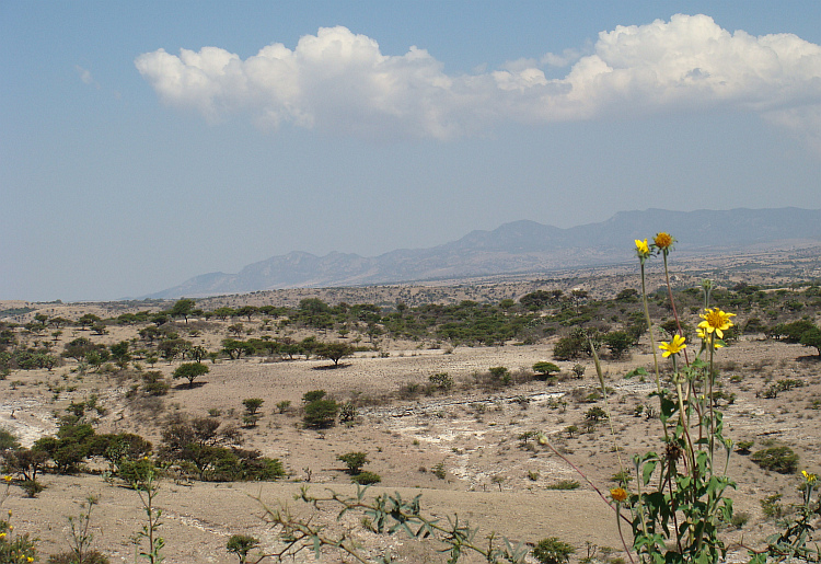 Landscape between San Miguel de Allende and Guanajuato