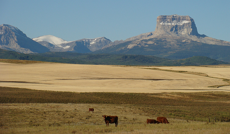 De Prairies en de Rockies bij de Amerikaanse grens
