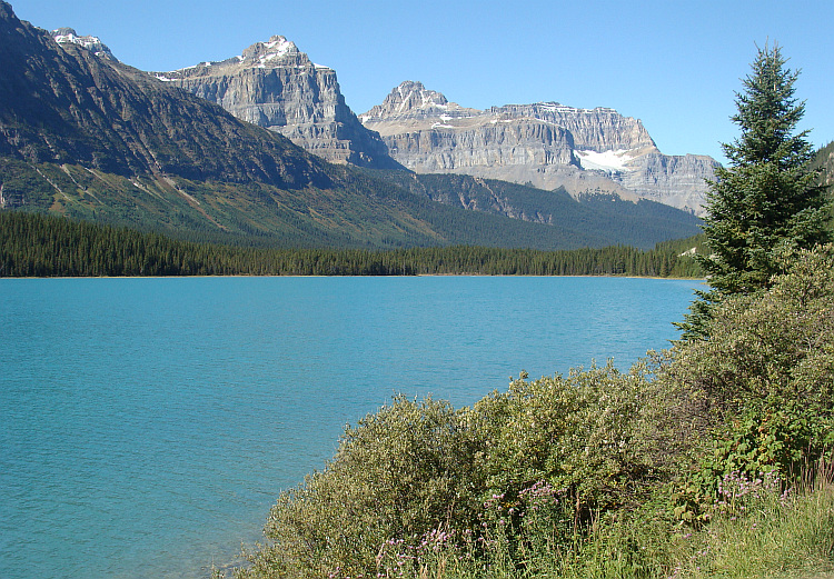 Landscape around the Icefields Parkway