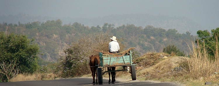 Paard en wagen nabij Cholula