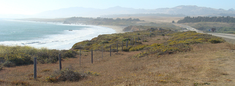 The Pacific Coast Highway between Cambria and San Simeon