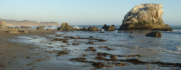 San Simeon State Park