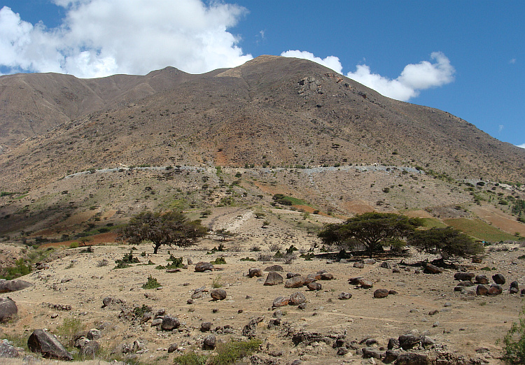 Landscape near Kotosh