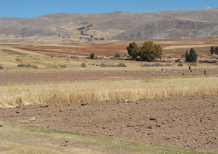 Het rurale landschap van Centraal Peru