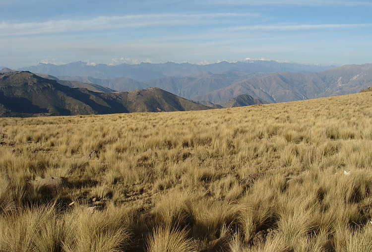 Landschap tussen Ayacucho en Ocros