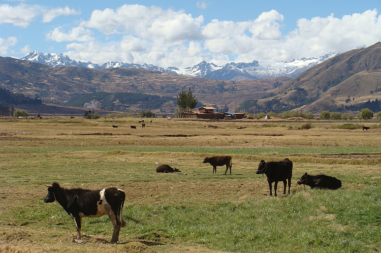 Landschap tussen Anta en Cusco
