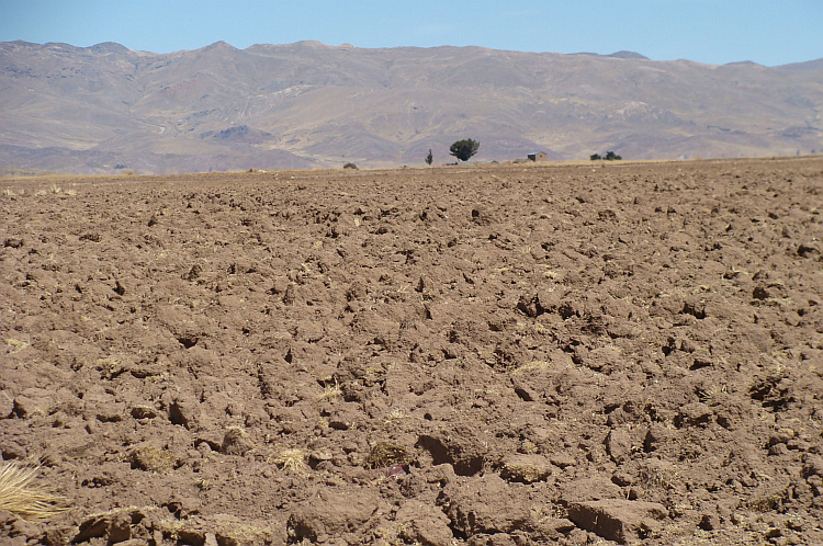Hoogvlakte tussen Arequipa en Juliaca