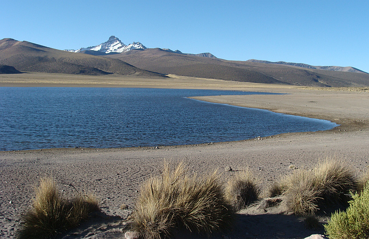 Meer op de Altiplano