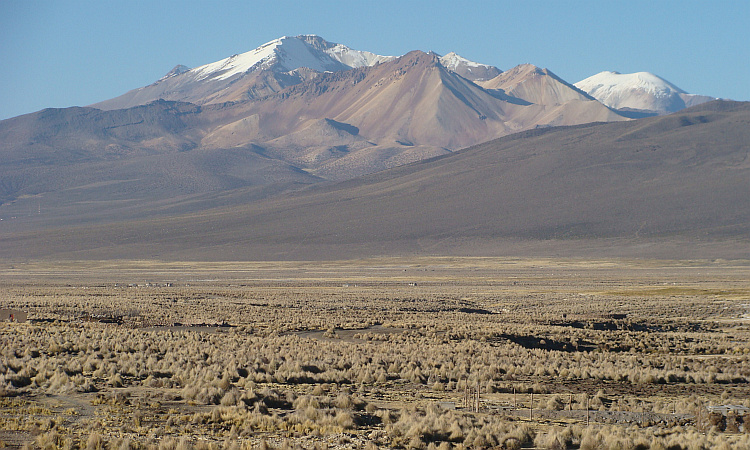 De Altiplano tussen Sajama en de Chileense grens