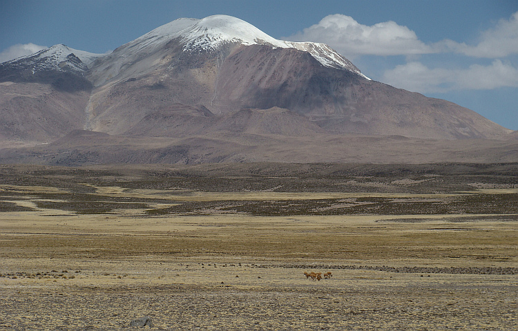 De Altiplano in het Parque Nacional Lauca