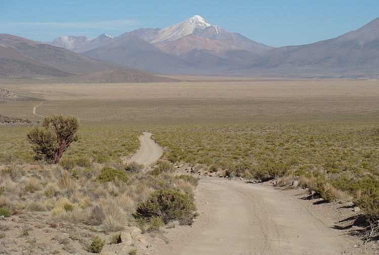 De Chileense Altiplano van het Parque Nacional Vicuñas