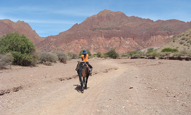 Horseriding in Tupiza