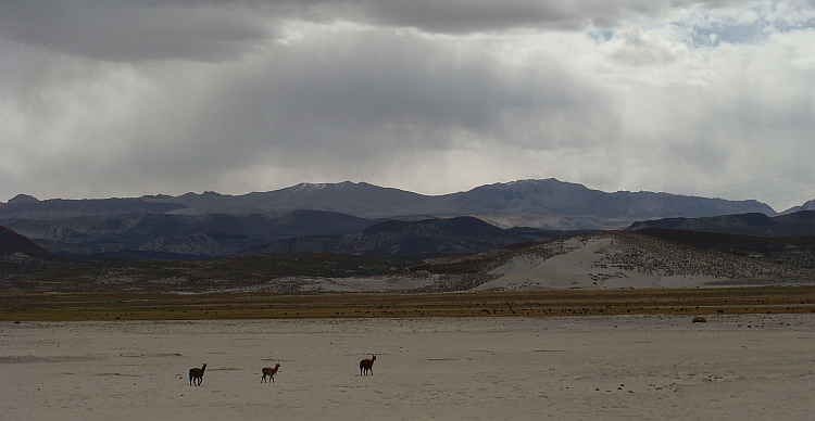 Landschap tussen Potosí en Uyuni