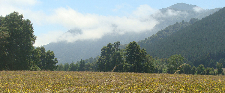 Landschap tussen Melipeuco en Villarica