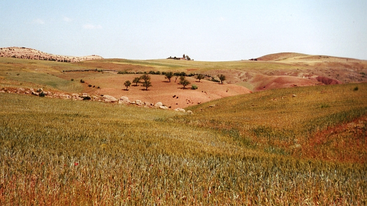 Pastures in the first hills of the Atlas