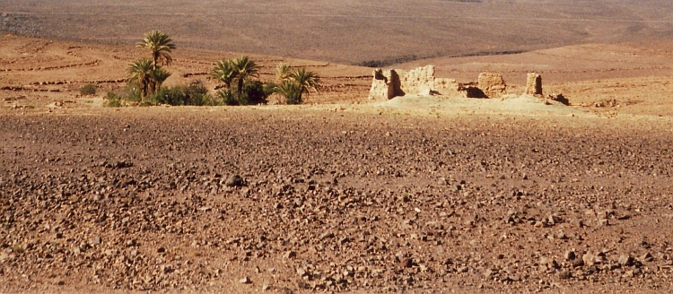 Oase op de weg van Ouarzazate naar Agdz