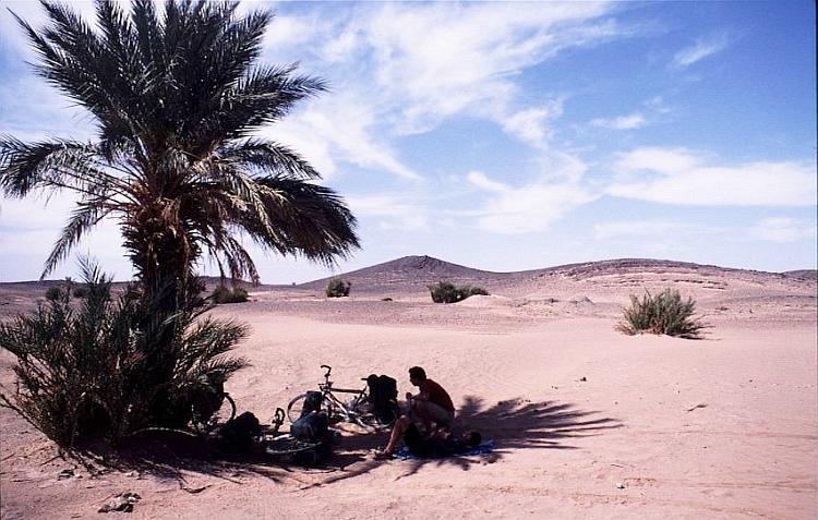 Having a rest under a palm tree, road to Rissani