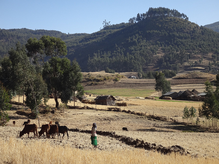Landschap in Centraal Ethiopië