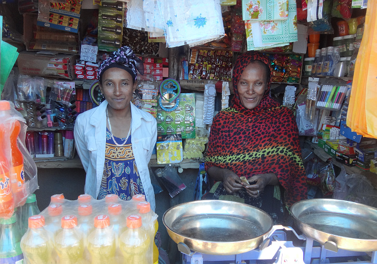 saleswomen of a shop in Alem Ketema