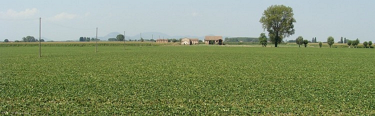 The flatlands of the Po Delta with the Colli Euganei hills in the distance