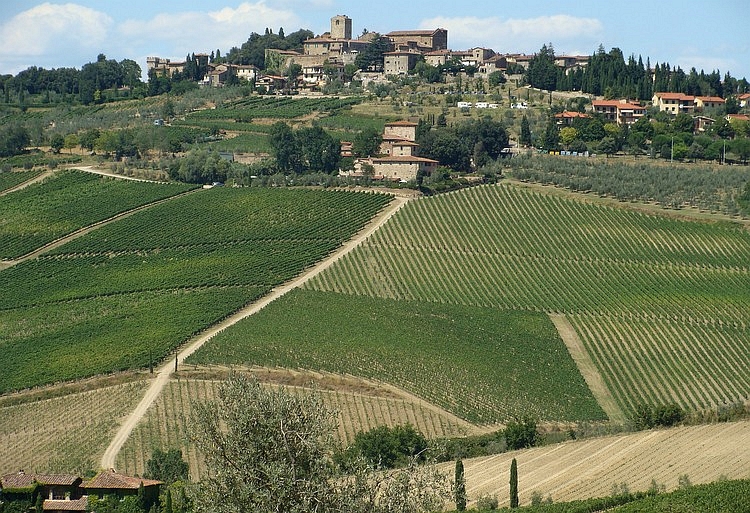 De wijnvelden van de Chianti in Toscane