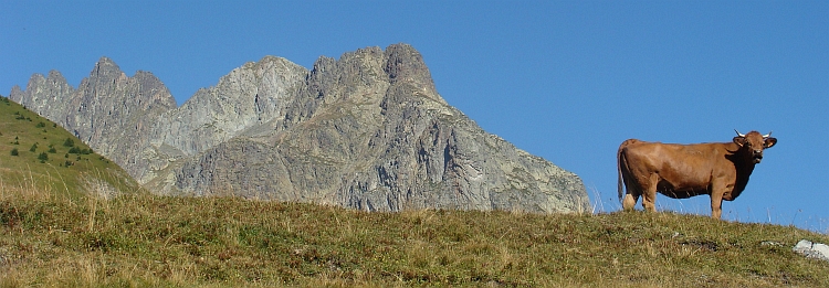 Alpine cliches on the Col du Glandon