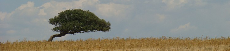 foto's
