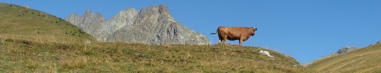 foto's