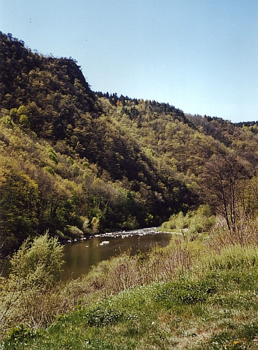 De Loire Vallei in Auvergne