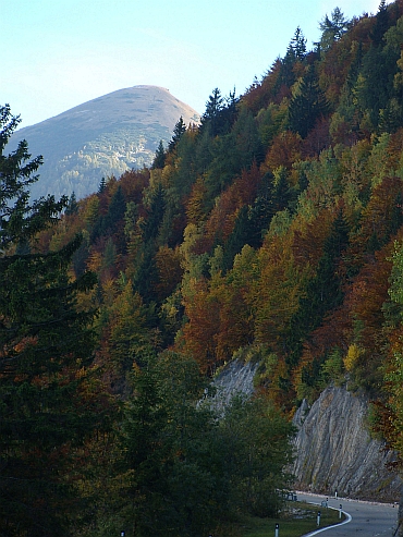 Herfstkleuren