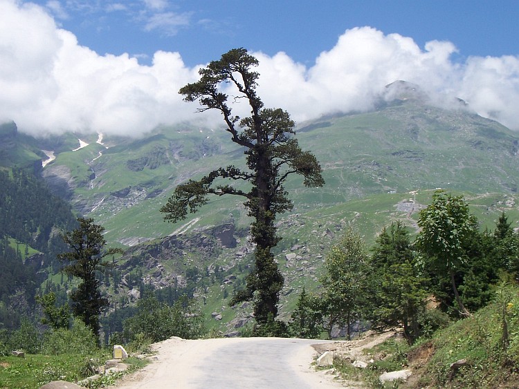 Op de lange klim naar de Rohtang La