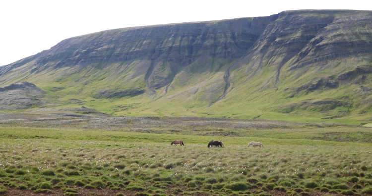 Landschap tussen Reykjavik en Þingvellir