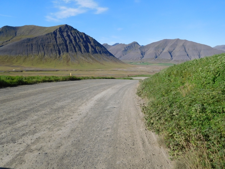 Weg 60 tussen Þingeyri en Hrafnseyri