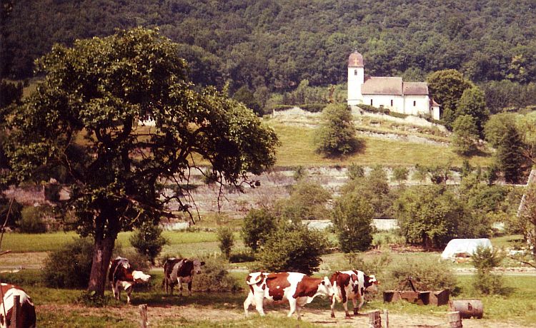 Pastoraal beeld in de Jura, Frankrijk