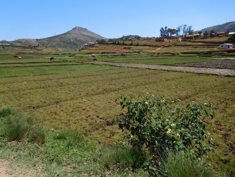 Landschap tussen Antananarivo en Manjakandriana