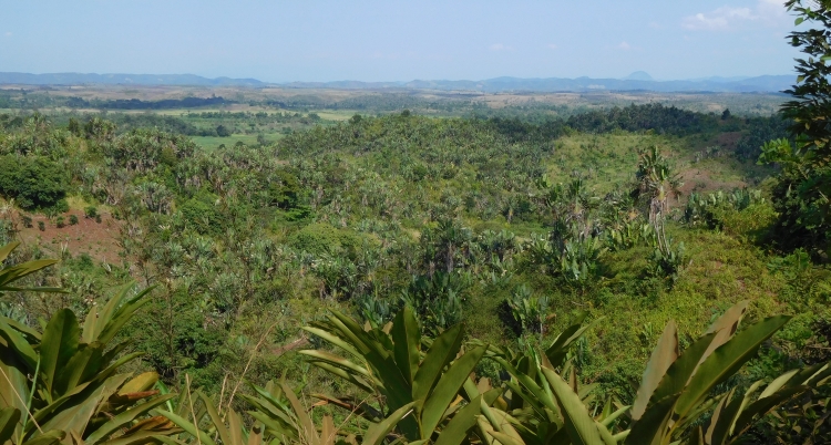 Landschap tussen Brickaville en Toamasina