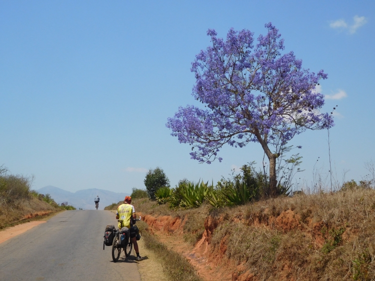 Willem tussen Fianarantsoa en Ambalavao