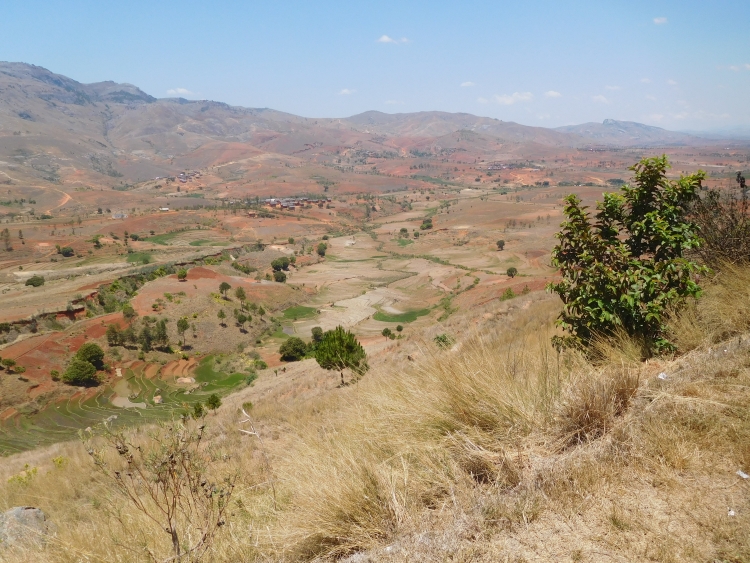 Tussen Fianarantsoa en Ambalavao