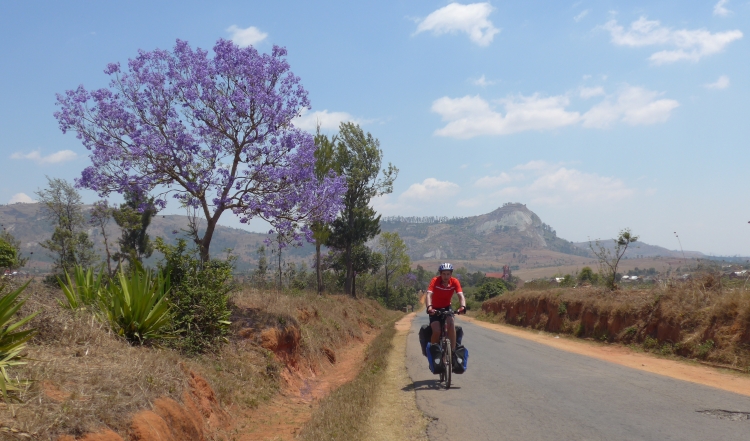 Tussen Fianarantsoa en Ambalavao. Foto van Willem Hoffmans
