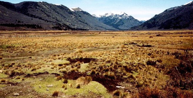 National Reserve Guallatué