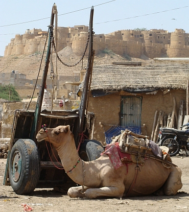 Kameel tegen de achtergrond van de stad Jaisalmer