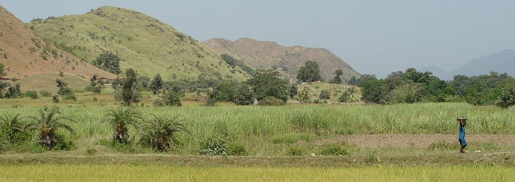 Aravalli Hills