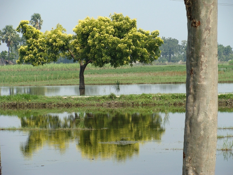 Tussen Varanasi en Gorakhpur